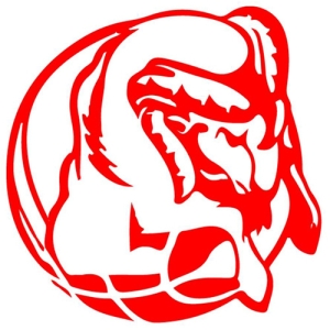 Collinare Basket A.DIL. logo